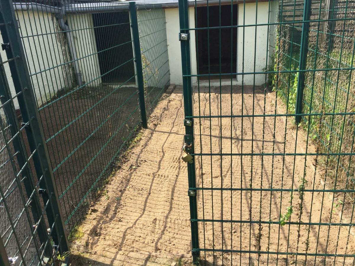 Ferienwohnung Neustrelitz Buitenkant foto